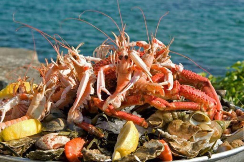 Kermaravel, Le Petit Manoir En Bord De Mer. แซ็ง-โปล-เดอ-ลีอง ภายนอก รูปภาพ